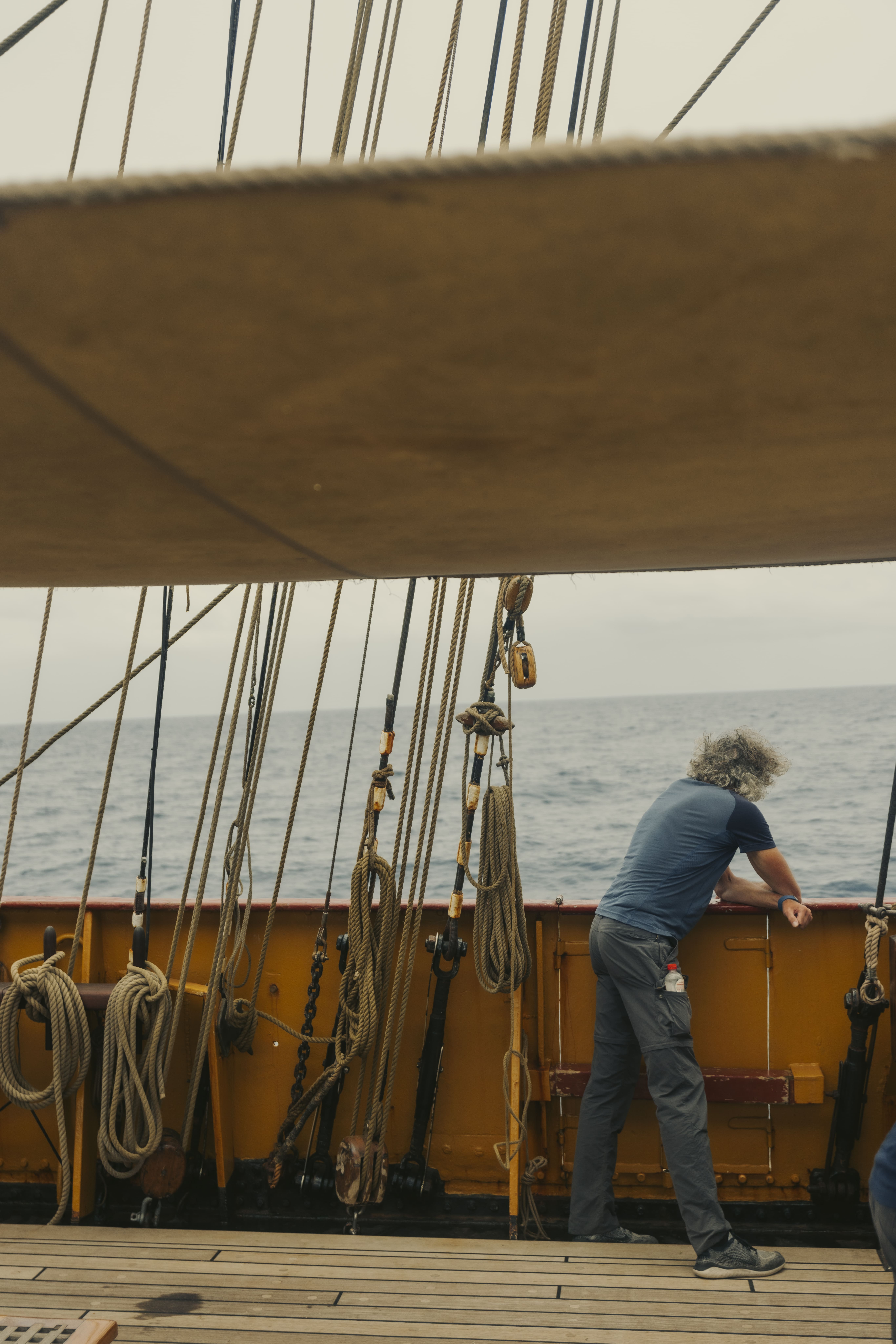 Voyage crew looking out to sea from the deck